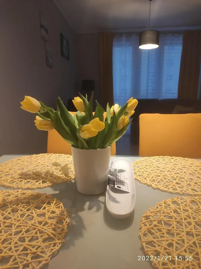 Przytulny Apartament, 2 Pokoje Nad Morzem Apartment Gdansk