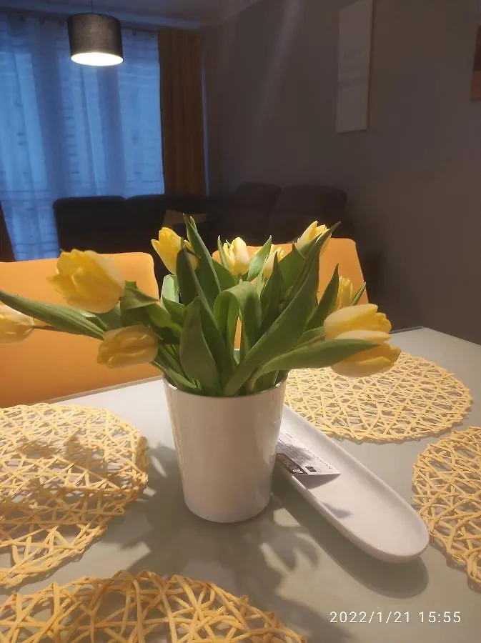 Przytulny Apartament, 2 Pokoje Nad Morzem Apartment Gdansk